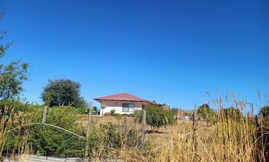 Parcela en Pencahue V 1542-P-71-P-GR-3.24