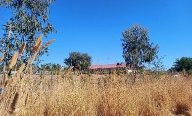 Parcela en Pencahue V 1542-P-71-P-GR-3.24