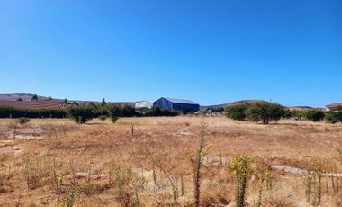 Parcela en Pencahue V 1542-P-71-P-GR-3.24