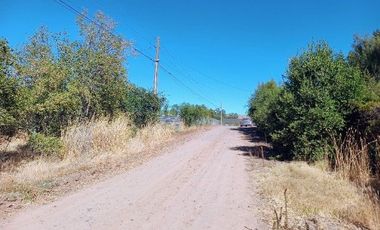 Parcela en Pencahue V 1542-P-71-P-GR-3.24