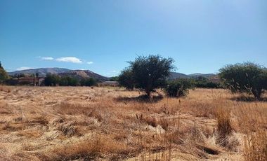 Parcela en Pencahue V 1542-P-71-P-GR-3.24