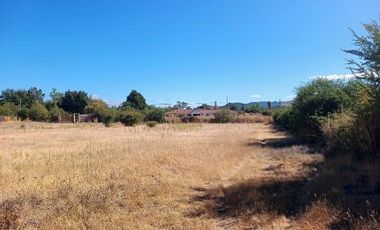 Parcela en Pencahue V 1542-P-71-P-GR-3.24