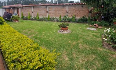 Vendo casa amplia sector calle Roma con área verde se acepta departamentos como parte de pago ideal para inversionistas