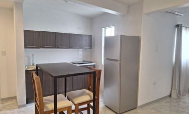 SE RENTAN DEPARTAMENTOS TOTALMENTE AMUEBLADOS