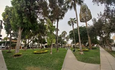 ALQUILO MINI DEPA URB. CHAMA SURCO