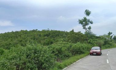 2,029 LOT FOR SALE LOCATED IN SAN ROQUE BACLAYON, BOHOL