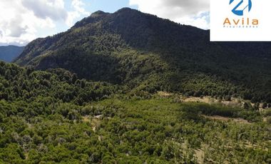 PUCÓN campo Curarrehue sector Añihuarraqui, lote de 88 Hectáreas COD.VTAP171