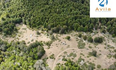 PUCÓN campo Curarrehue sector Añihuarraqui, lote de 88 Hectáreas COD.VTAP171