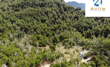 PUCÓN campo Curarrehue sector Añihuarraqui, lote de 88 Hectáreas COD.VTAP171