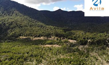 PUCÓN campo Curarrehue sector Añihuarraqui, lote de 88 Hectáreas COD.VTAP171