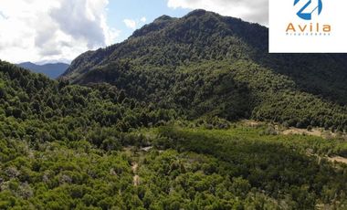 PUCÓN campo Curarrehue sector Añihuarraqui, lote de 88 Hectáreas COD.VTAP171