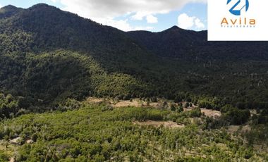 PUCÓN campo Curarrehue sector Añihuarraqui, lote de 88 Hectáreas COD.VTAP171