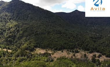 PUCÓN campo Curarrehue sector Añihuarraqui, lote de 88 Hectáreas COD.VTAP171