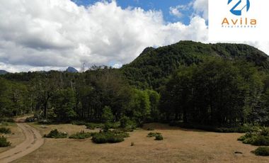 PUCÓN campo Curarrehue sector Añihuarraqui, lote de 88 Hectáreas COD.VTAP171