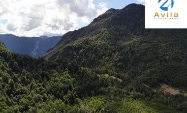 PUCÓN campo Curarrehue sector Añihuarraqui, lote de 88 Hectáreas COD.VTAP171