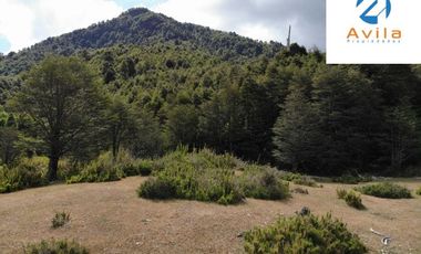 PUCÓN campo Curarrehue sector Añihuarraqui, lote de 88 Hectáreas COD.VTAP171
