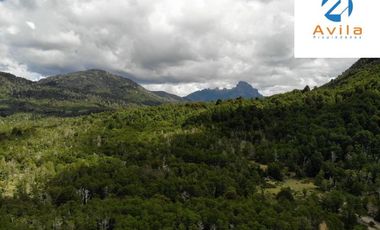 PUCÓN campo Curarrehue sector Añihuarraqui, lote de 88 Hectáreas COD.VTAP171