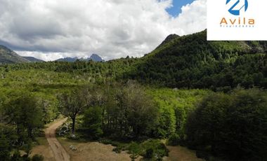 PUCÓN campo Curarrehue sector Añihuarraqui, lote de 88 Hectáreas COD.VTAP171
