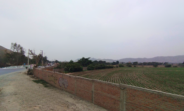 Alquiler De Terreno Agricola Av Tupac Camino Canta