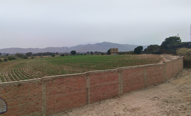 Alquiler De Terreno Agricola Av Tupac Camino Canta