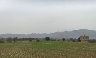 Alquiler De Terreno Agricola Av Tupac Camino Canta