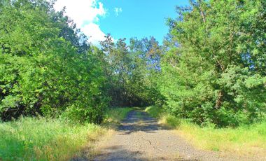 Venta parcela con casa en obras en Yumbel