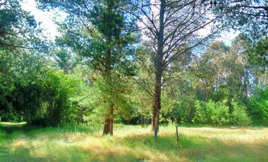 Venta parcela con casa en obras en Yumbel