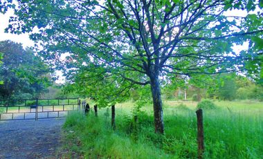 Venta parcela con casa en obras en Yumbel