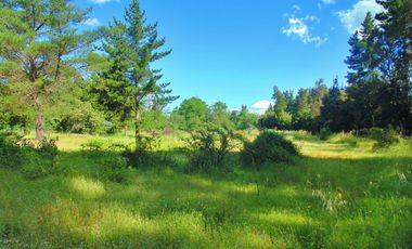 Venta parcela con casa en obras en Yumbel