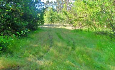 Venta parcela con casa en obras en Yumbel