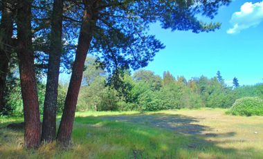 Venta parcela con casa en obras en Yumbel