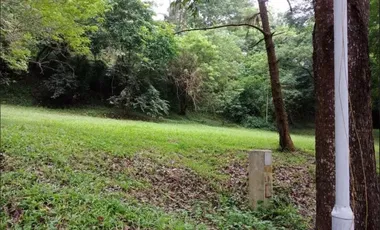 MR - For Sale : 463 sqm. Vacant Lot in Canyon Woods Residential Resort