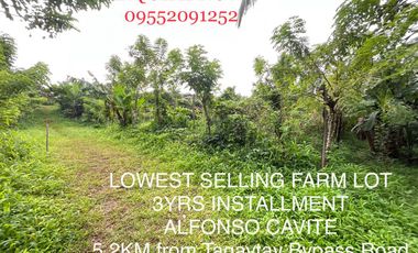 SMALL CUT FARM LOT - 50METERS FROM BYPASS ROAD (CTBEX)