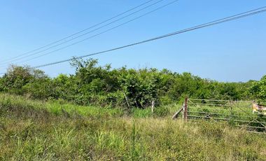 TERRENO BOULEVARD DE LAS AMERICAS (SALIDA A TAMIAHUA) TUXPAN, VER