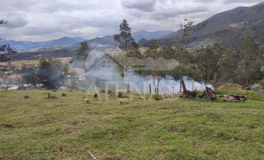 TERRENO EN VENTA, DE OPORTUNIDAD, El LIRIO - MALL DE RACAR
