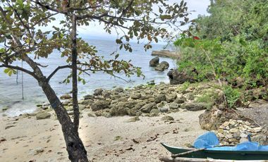 Rush Sale: 4,980 sq.m.  Samboan-Cebu titled white sand beach property @ P25M