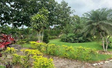 Bucay, Venta de Hermosa Finca con Plantación, Laguna y Casa de Campo 1 Ha