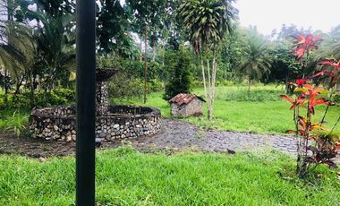 Bucay, Venta de Hermosa Finca con Plantación, Laguna y Casa de Campo 1 Ha