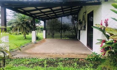 Bucay, Venta de Hermosa Finca con Plantación, Laguna y Casa de Campo 1 Ha