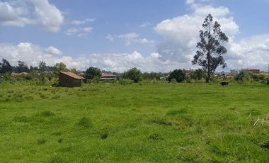 Terreno en venta sector Ricaurte ideal para lotizacion o urbanización privada ideal para casas de interes social.