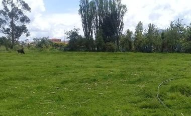 Terreno en venta sector Ricaurte ideal para lotizacion o urbanización privada ideal para casas de interes social.