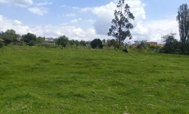 Terreno en venta sector Ricaurte ideal para lotizacion o urbanización privada ideal para casas de interes social.