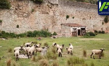 Hacienda de 7 Hectáreas en Omitlán de Juárez, Estado de Hidalgo.