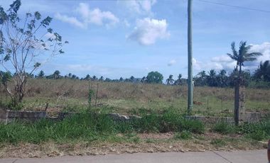 Overlooking Land for SALE
