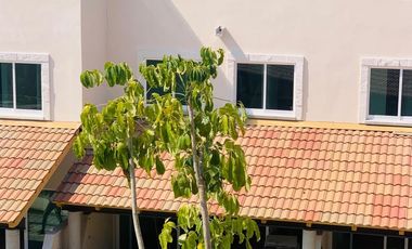 Inversiónistas Precio únicamente pago de contado