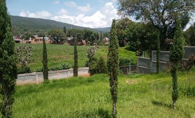Centro Gastronómico, con Restaurantes en Iratzio con Terreno para estacionamiento, mas de 80 Vehículos.