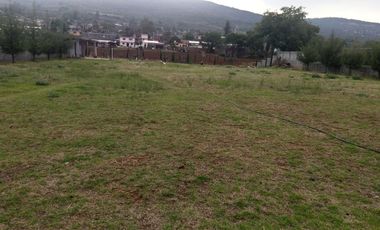 Centro Gastronómico, con Restaurantes en Iratzio con Terreno para estacionamiento, mas de 80 Vehículos.