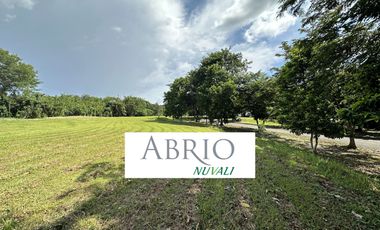 Abrio NUVALI for Sale, Phase 1 (830 sqm)