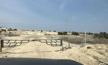 AMPLIO  TERRENO EN VENTA – CARRETERA PIURA - PAITA