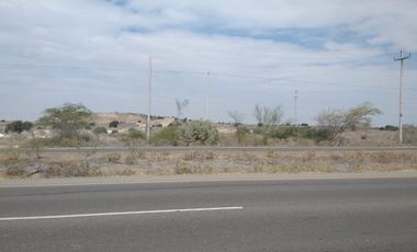 AMPLIO  TERRENO EN VENTA – CARRETERA PIURA - PAITA